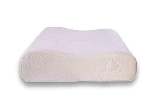 Memory Contour Pillow