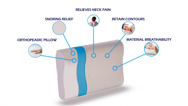 Memory Contour Pillow